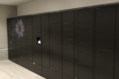 Apartment Package Lockers