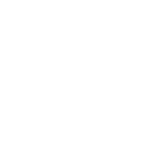 Made in the USA Icon